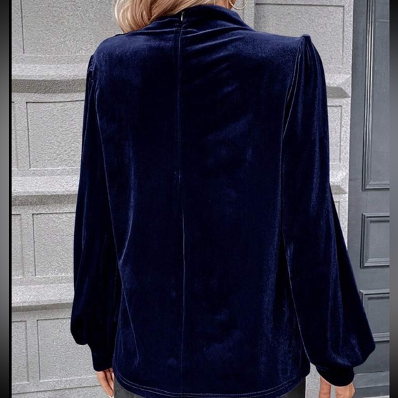 Luxe Velvet Cowl Neck Top Blouse Shirt - Picture 2 of 16